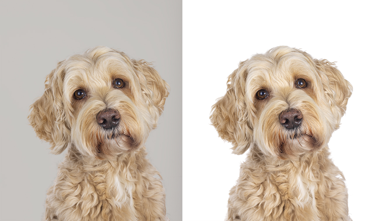 Background Removal